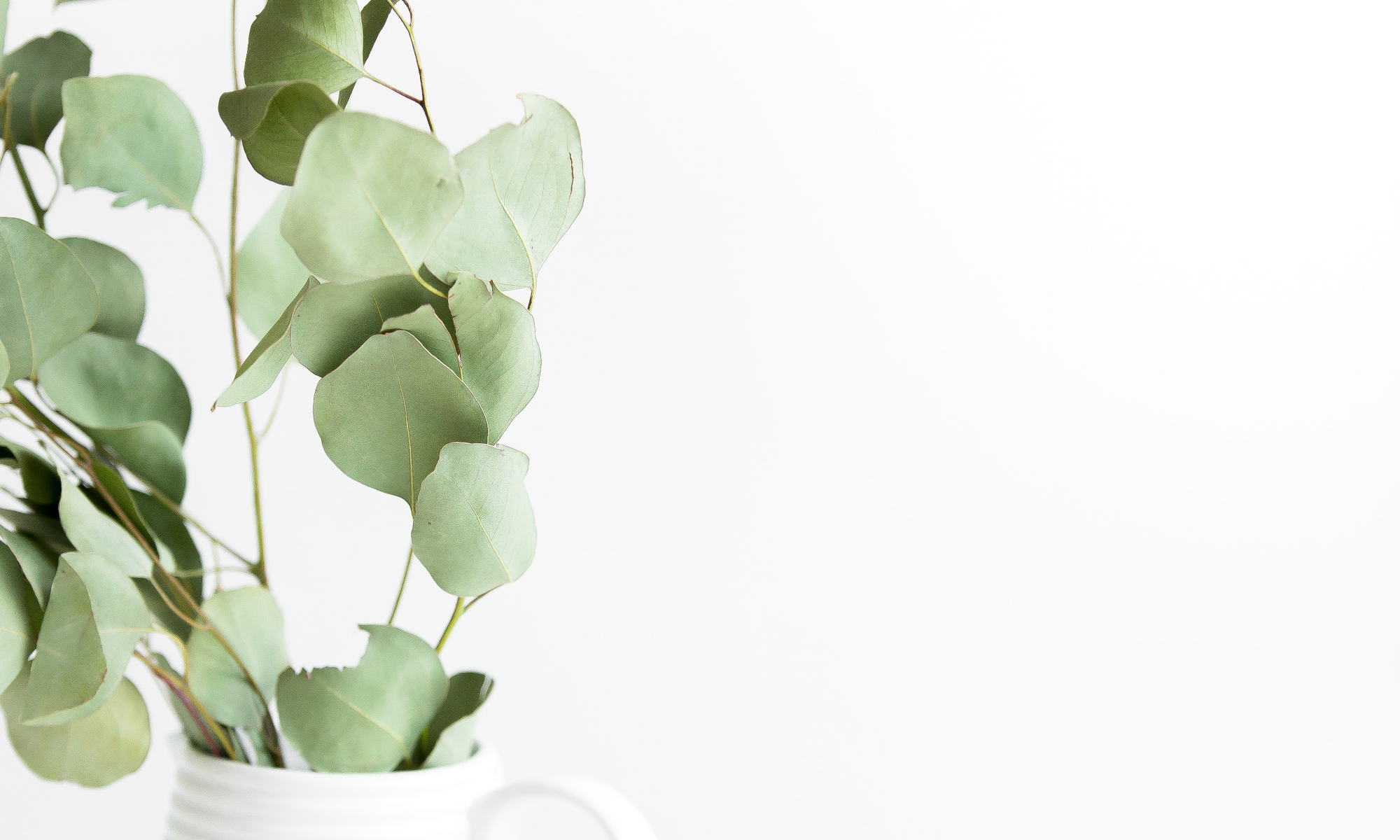Photo by Heather Ford on Unsplash - flow yogalab