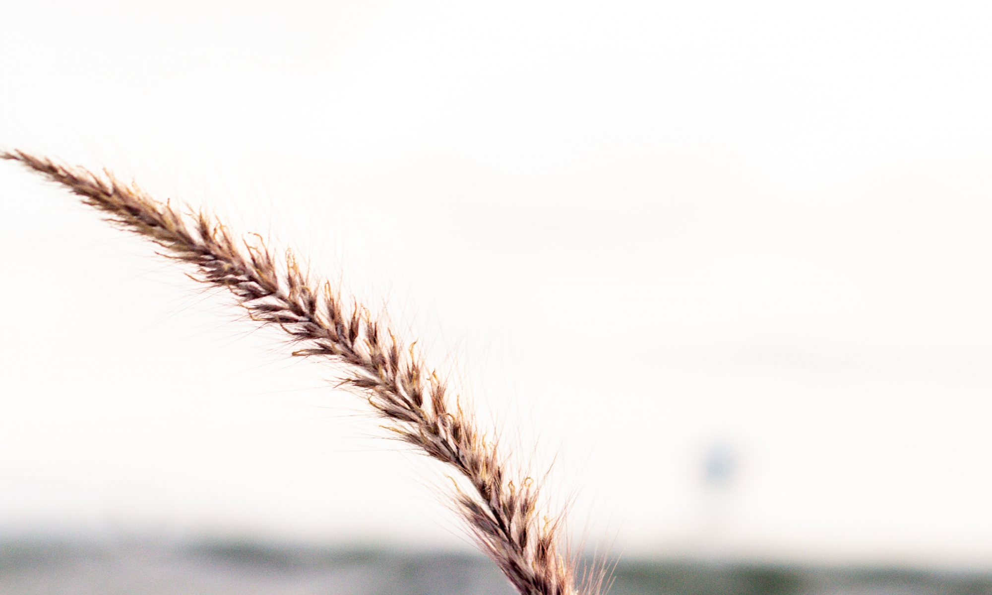 Photo by Marisol Benitez on Unsplash - flow yogalab