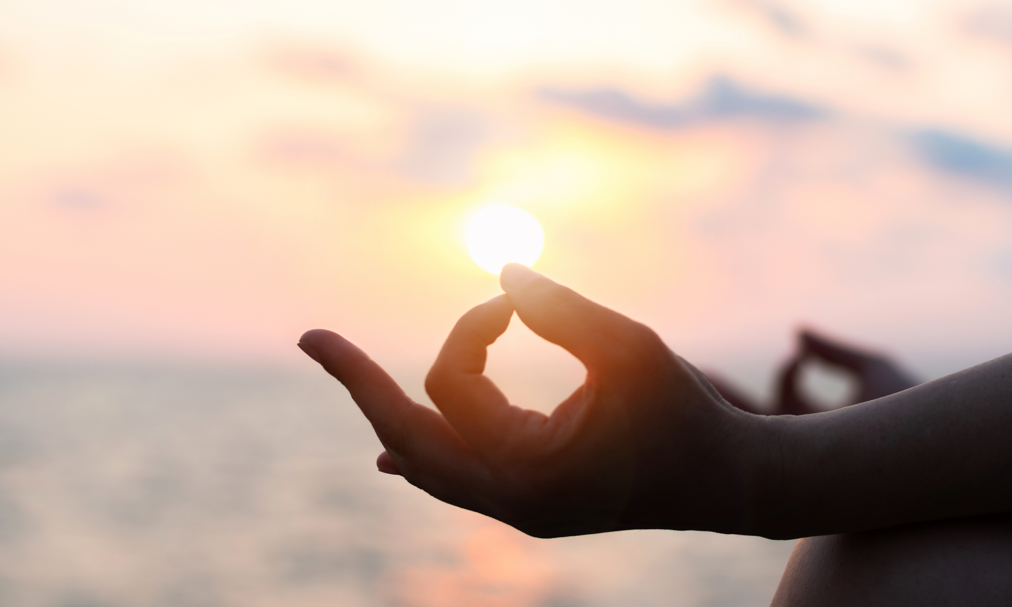 blog - flow yogalab