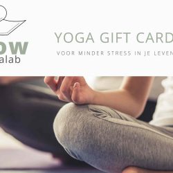 Flow Yogalab giftcard 1 yogales